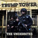The Underbites — Trump Tower