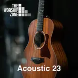 The Worship Zone — The Joy (Acoustic)
