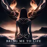 Trackgoneat — Bring Me To Life Ft Basshoven
