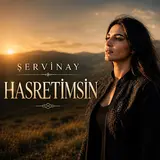 Tunebox — Hasreti̇msi̇n