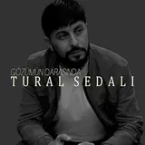 Tural Sedalı — Gözümün Qarasında