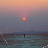 Twoyearoldbear — Far From Home
