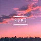 Twoyearoldbear — Numb (Feat. Salina Renee)