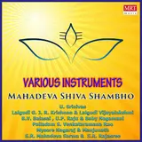 U. Srinivas — Mahadeva Shiva Shambho