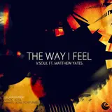 V.soul — The Way I Feel (Soul Fortune 86 Mix) (Feat. Matthew Yates)