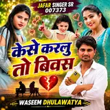 Waseem Dhulawatya — Jafar Singer Sr 7373