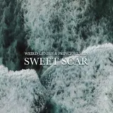 Weird Genius — Sweet Scar (Feat. Prince Husein)