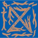 X Japan — Endless Rain