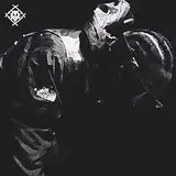 Xavier Wulf — Tortuga
