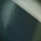 Xraevraex — Honk Honk