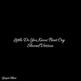 Yagih Mael — Little Do You Know Beat Cry (Slowed Version)