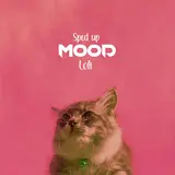 Yagih Mael — Mood (Lofi) (Sped Up Version)