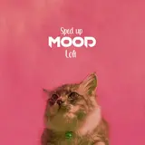 Yagih Mael — Mood (Lofi (Sped Up))