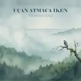 Yüksel Baltacı — Uçan Atmaca İken
