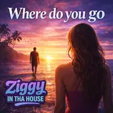 Ziggy In Tha House — Where Do You Go