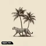 Zmeex — Shadow