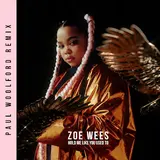 Zoe Wees — Hold Me Like You Used To (Paul Woolford Remix)