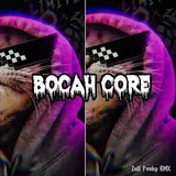Zull Fvnky Rmx — Bocah Core