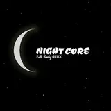 Zull Fvnky Rmx — Night Core