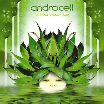 Androcell Efflorescence