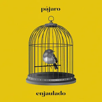 Ayax Pájaro Enjaulado