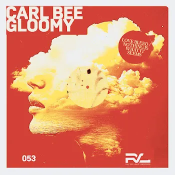 Carl Bee Nothing Is What It Seems