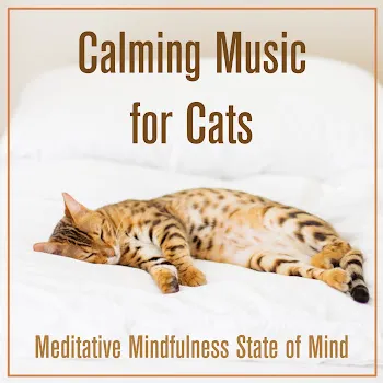 Cat Music Calming Music For Cats Ft Cat Music Dreams & Relaxmycat