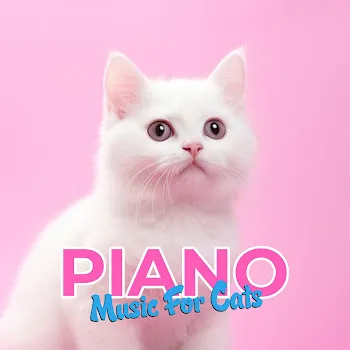 Catonic Cat Anxiety Relief For Empty House