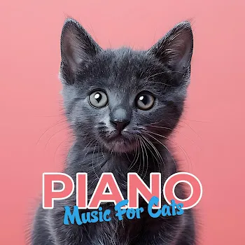 Catonic Soft Comfort For Cats