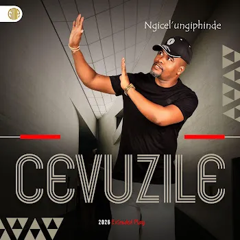 Cevuzile Insumansuumane
