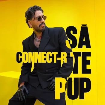 Connect-R Sa Te Pup