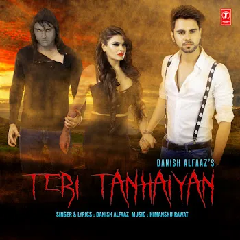 Danish Alfaaz Teri Tanhaiyan