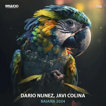 Dario Nunez Baiana 2024 (Original Mix) Ft Javi Colina