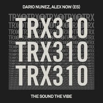 Dario Nunez The Sound The Vibe (Extended Mix) Ft Alex Now (Es)
