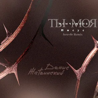 Денис Жатвинский Ты Моя... (Remix)