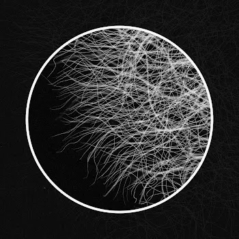 Dirtwire Mycelium