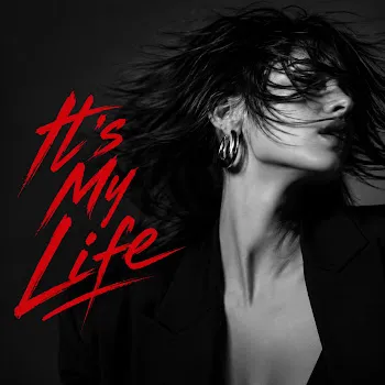 Dj Monster It's My Life