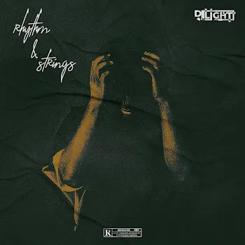 Djdelight Rhythm & Strings