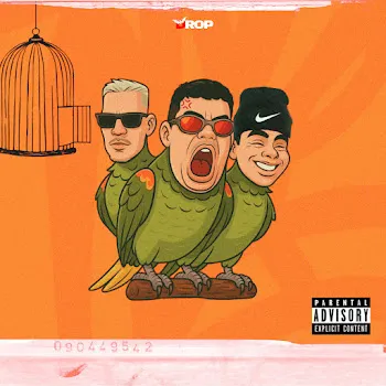 Djpejota Papagaio Ft Mc Hk Da 7 & Privbyg
