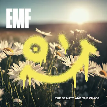 Emf Read The Room
