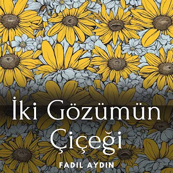 Fadıl Aydın İki Gözümün Çiçeği (Gitar Akustik)