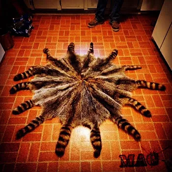 Fakemink Blow Me