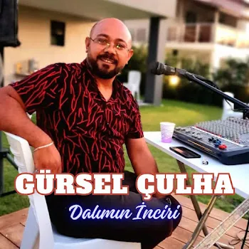 Gürsel Çulha Dalımın İnciri