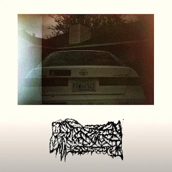 If I Die In Mississippi Camry
