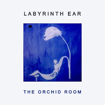 Labyrinth Ear Crescent Moon