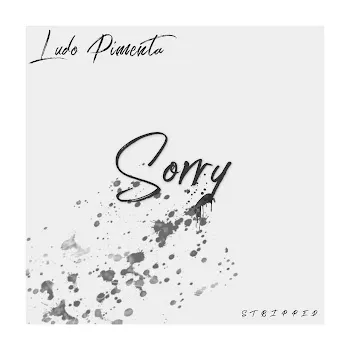 Ludo Pimenta Sorry (Stripped)