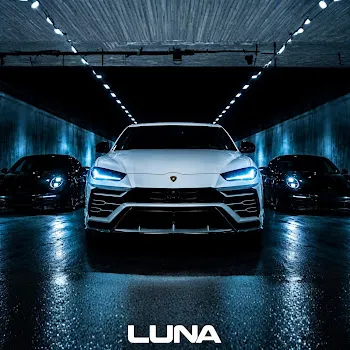 Lunahouse Billionaire