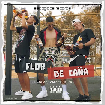 Mario Mc Flor De Caña Ft Farid & Lil Gunzy