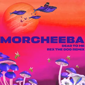 Morcheeba Dead To Me