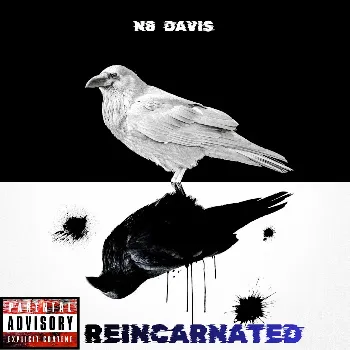 N8 Davis Boom